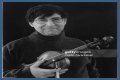 David Shapiro (musician)